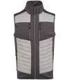 RG381 TRA905 Regatta E-Volve Unisex Thermal Hybrid Bodywarmer mineral grey / Ash colour image